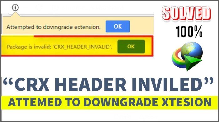 Crx blocked by organization -how to disable