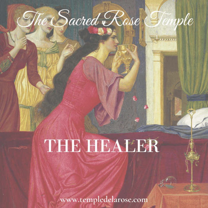 How to train your healer chapter 23