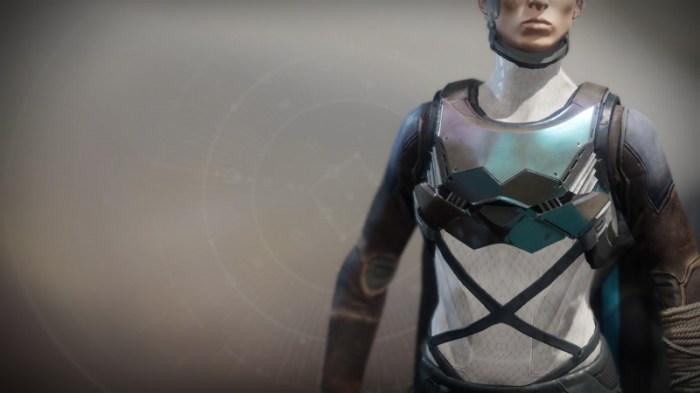Destiny boots issues known official How to get flowing boots destiny 2