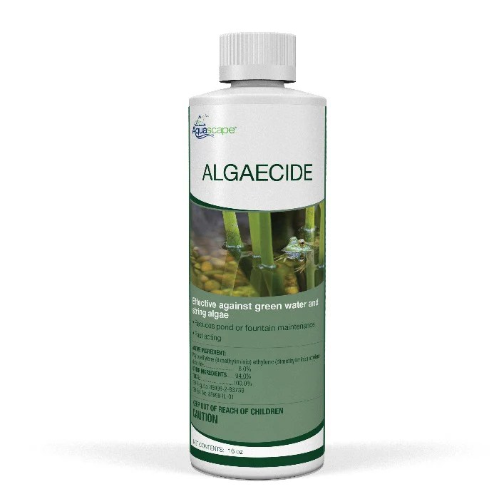 How long does it take for algaecide to work