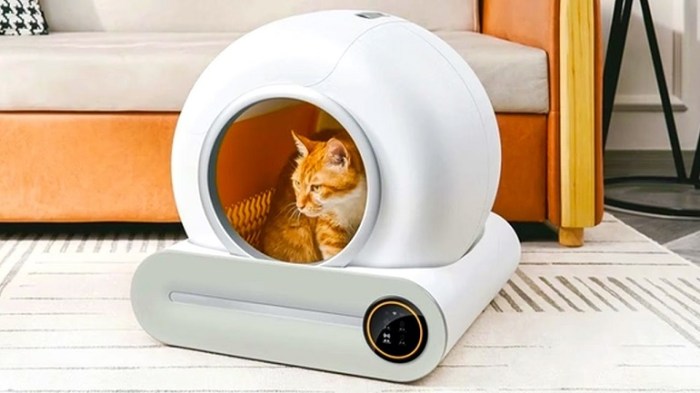 How much to charge for changing cat ltter box