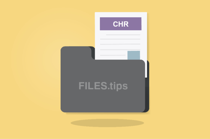 Chr file how to open