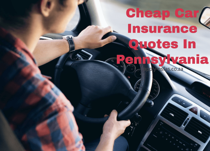 Car insurance quotes st petersburg fl