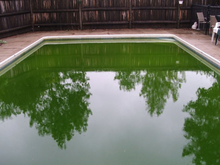 Phosphates pool swimming what inyopools phosphorus plant Phosphates pool swimming what inyopools phosphorus plant