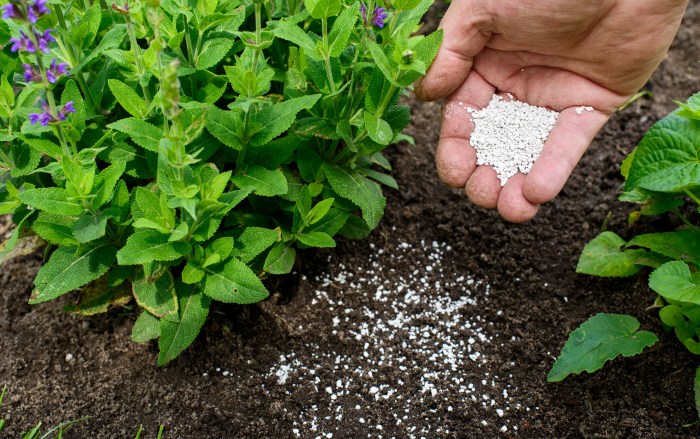 Fertilizer granular long does take work micronutrients soil organic beneficial microorganisms even How long does fertilizer take to work