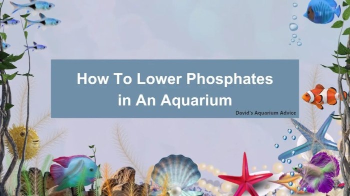 How to lower phosphates in reef tank