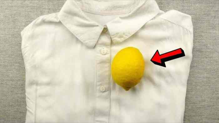 Bleach sanitize disinfect sanitizing properly disinfecting wagonpilot How to sanitize clothes without bleach