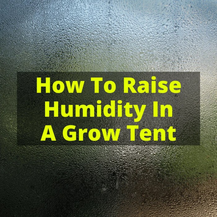 Tent humidity How to raise humidity in grow tent