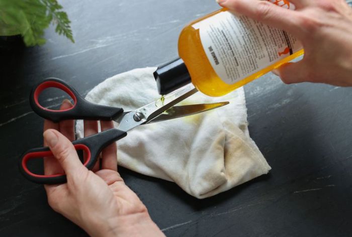 How to sanitize scissors