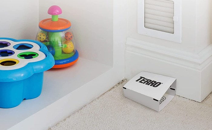 How to get rid of cellar spiders
