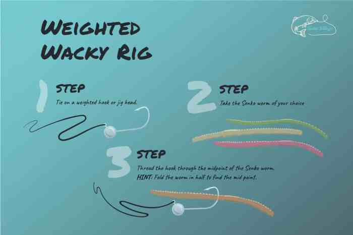 How to fish a wacky rig