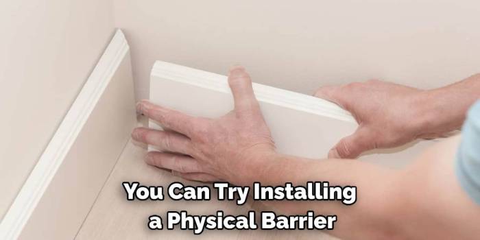 How to get bunny to stop eating baseboards