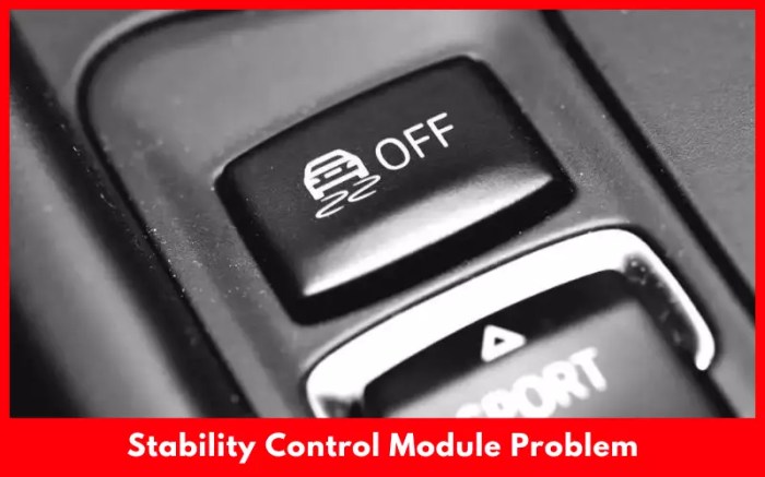 How to reset service stabilitrak light