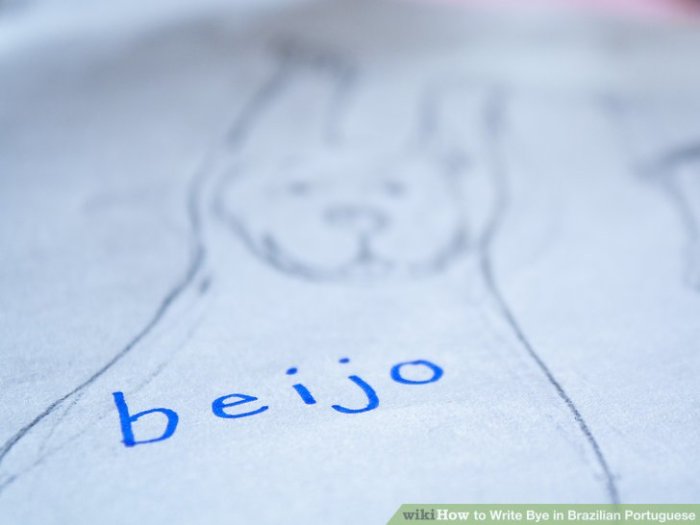 Bye spanishdict How to say bye in portuguese