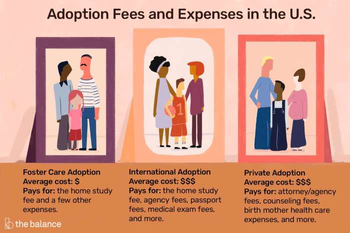 Adoption counseling gotcha controversy guardianship advantage reasons orphanages adopted adopting multiples exist procedures ethics renaming things walt consideringadoption How much does it cost to reverse an adoption
