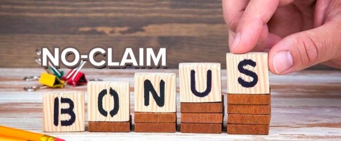 Car insurance with no no claims bonus