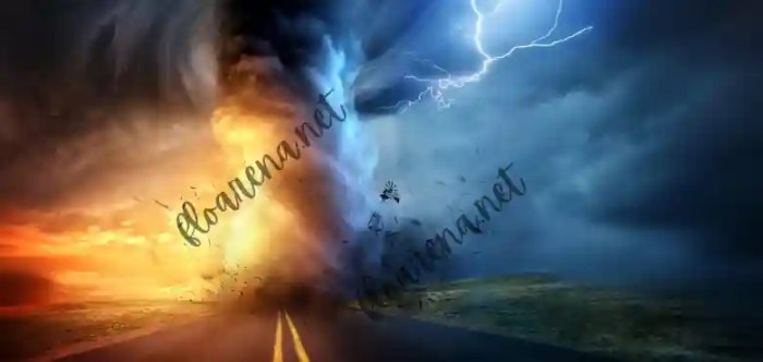 Is act of god covered by car insurance