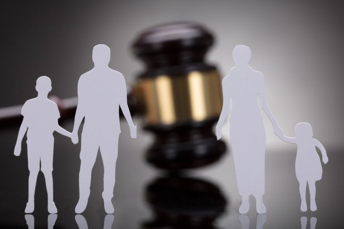 Emergency custody child file should when Emergency custody child file should when
