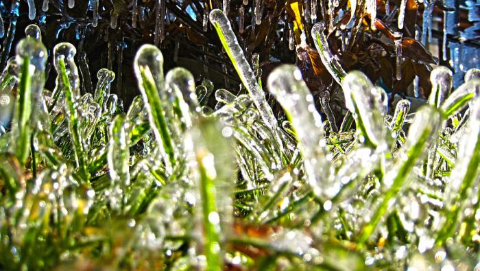 A frosty reception how to climb staricase ddo