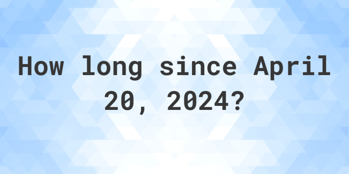 2019 to 2024 how many years