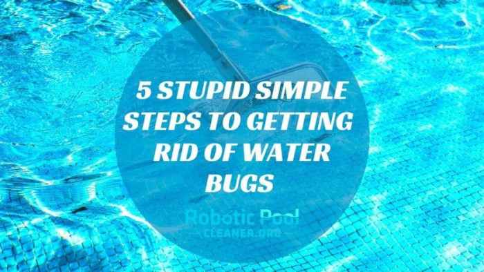 How to keep bugs away from pool