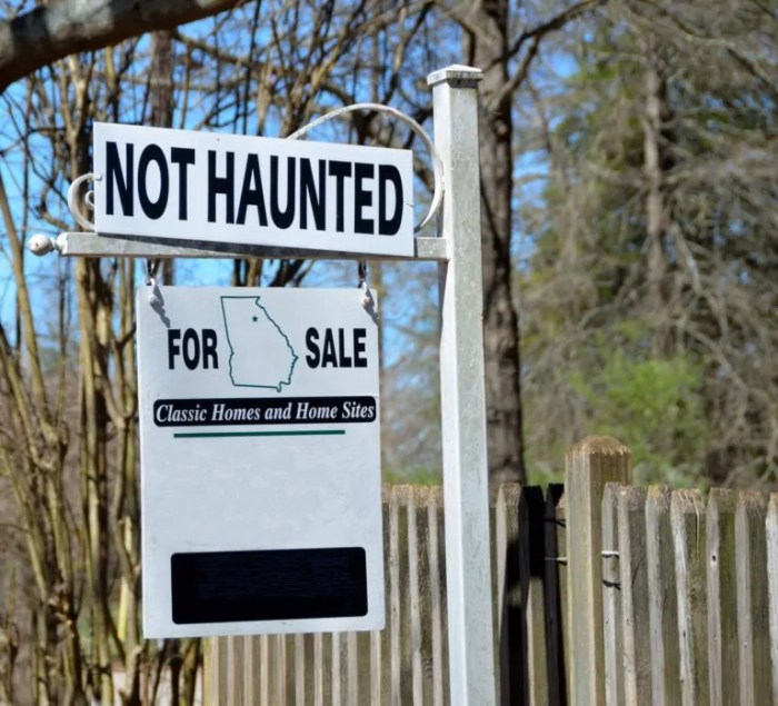 How to sell a haunted house review