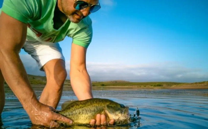 How long do bass have to be to keep