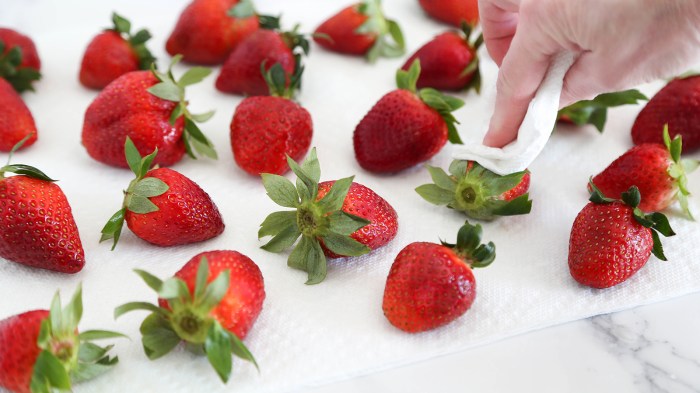 How to make freeze dry strawberries
