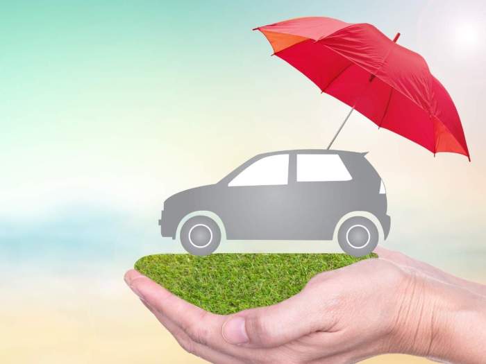 Lie unraveling Unraveling the road: your essential guide to car insurance