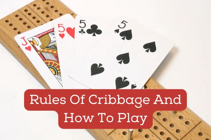 How to play cribbage pdf