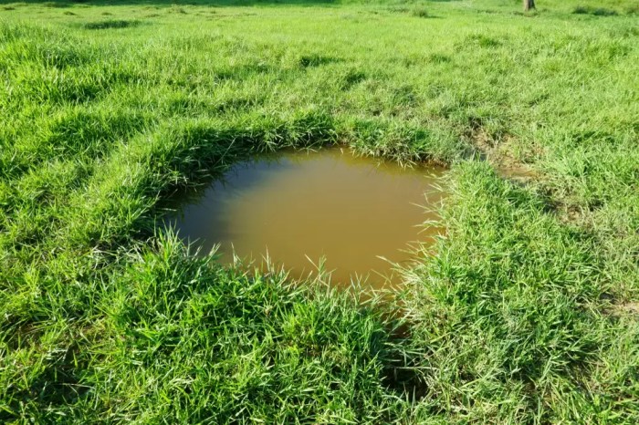 How to find septic drain field