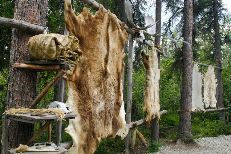 How to tan a hide with hair on