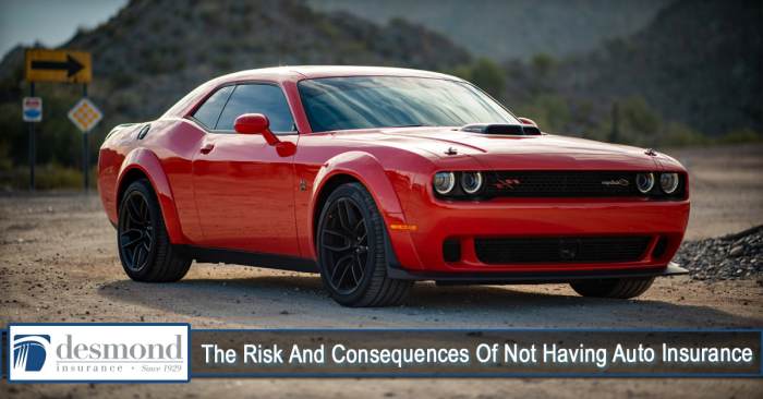 Happens accident obligations Not having car insurance is what aceable
