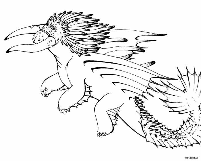 How to train your dragon coloring book pages