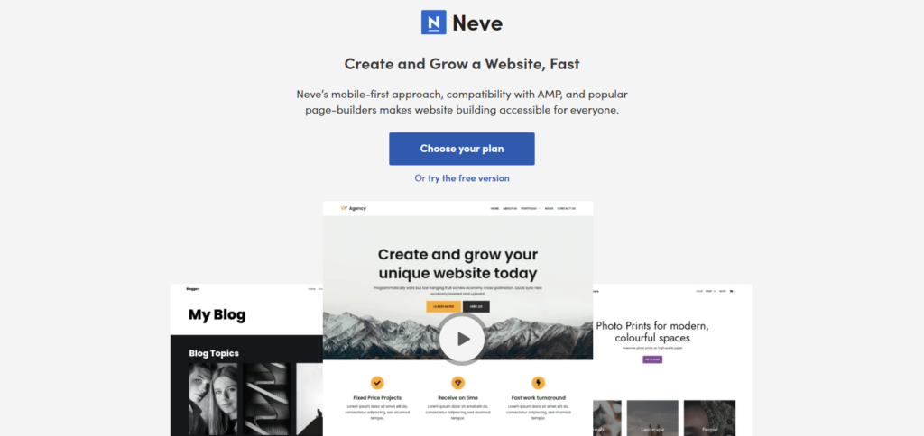 WordPress Themes, Google AdSense