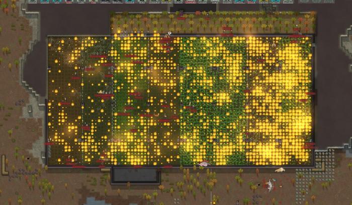 Rimworld how to burn appparal
