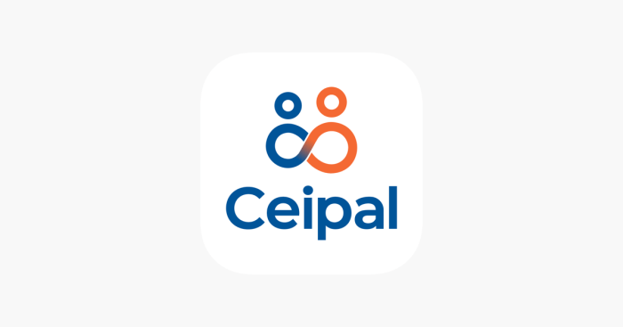 How to create a supplier portal in ceipal