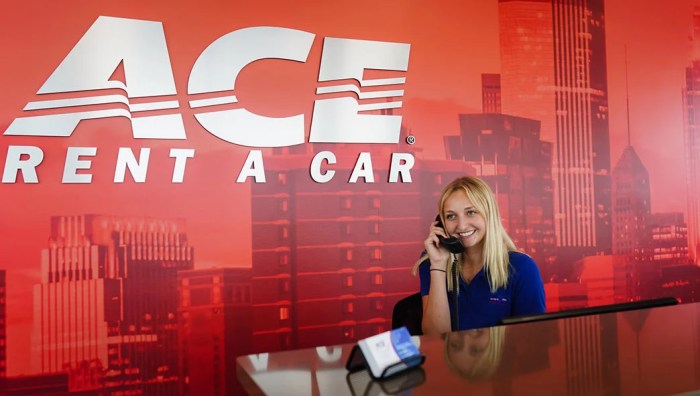 Ace rent a car insurance cost