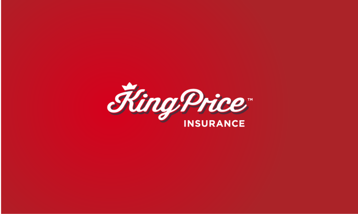 King price car insurance benefits