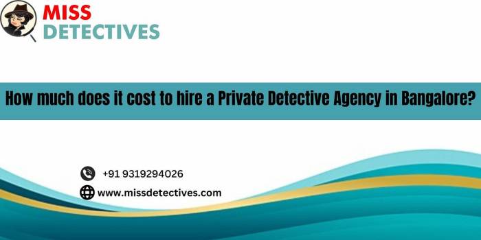 How much to hire a private detective
