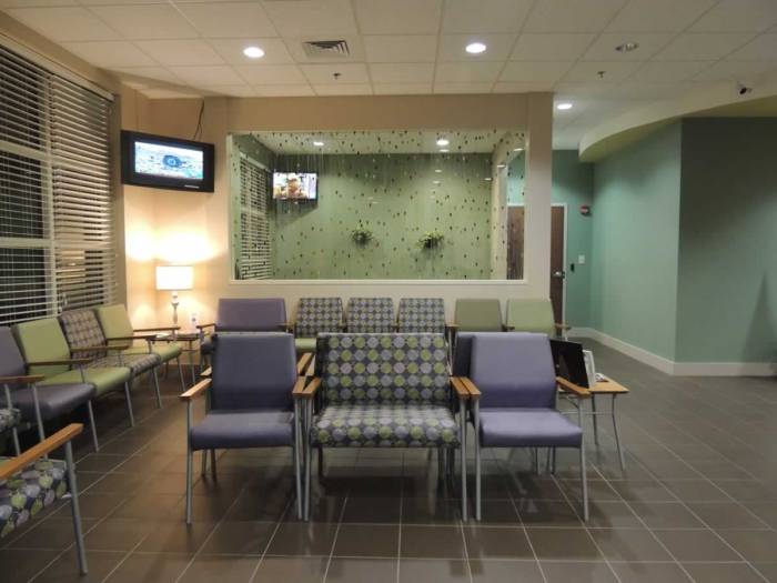 Palmetto primary care insurance accepted