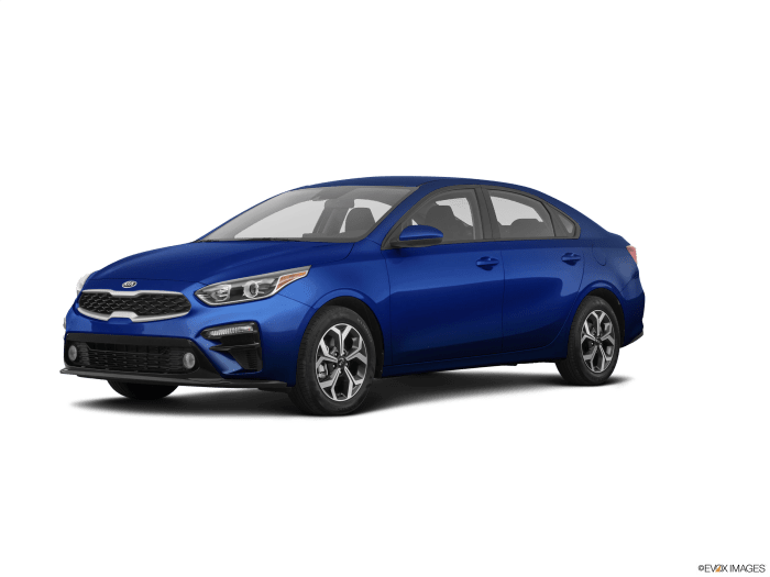 Car insurance for kia forte