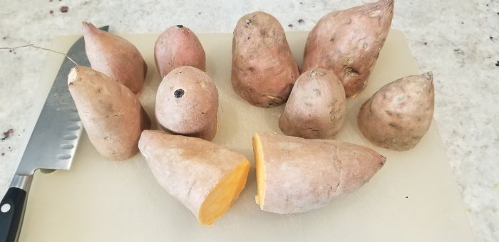 Sweet potato origins Texas