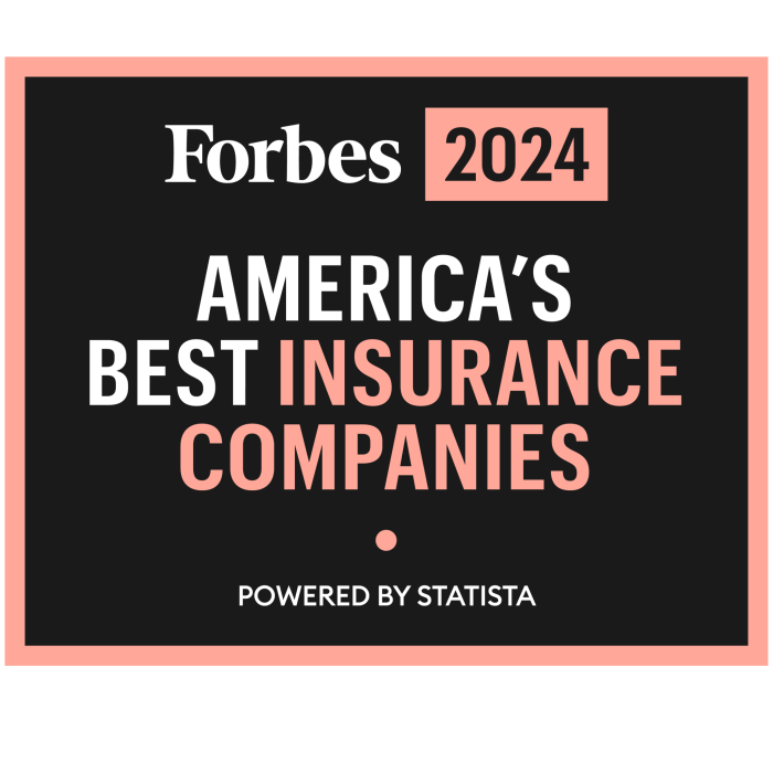 Worst car insurance companies 2024