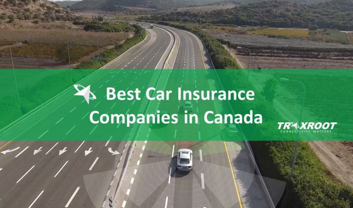 Car insurance british columbia canada