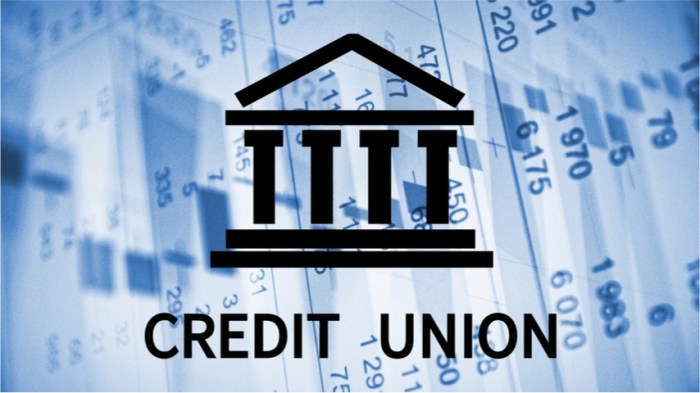 Do credit unions offer car insurance