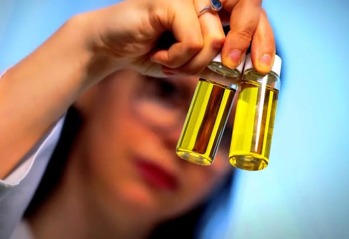 How Many Olives to Make Olive Oil? A Quantitative Analysis