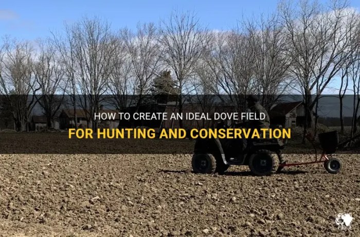 How far to lead a dove