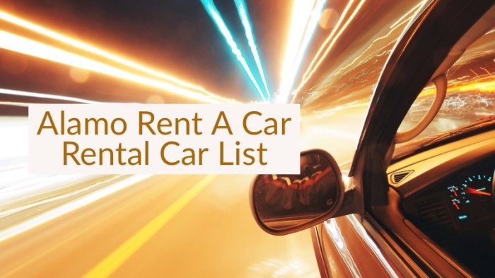 Alamo car rental insurance price