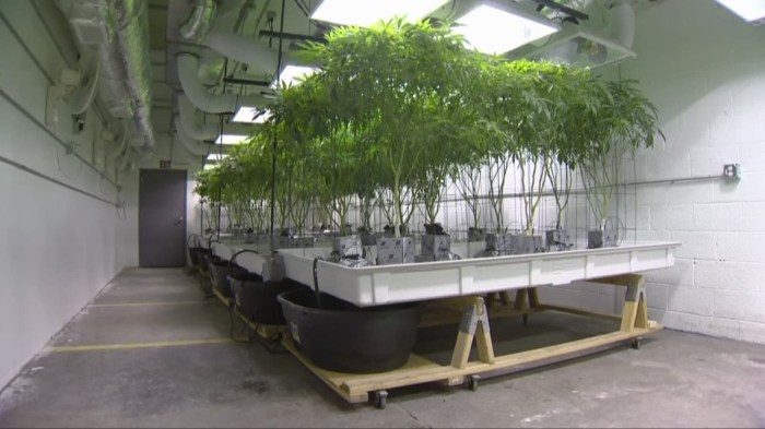 How to Open a Dispensary in Ohio A Comprehensive Guide
